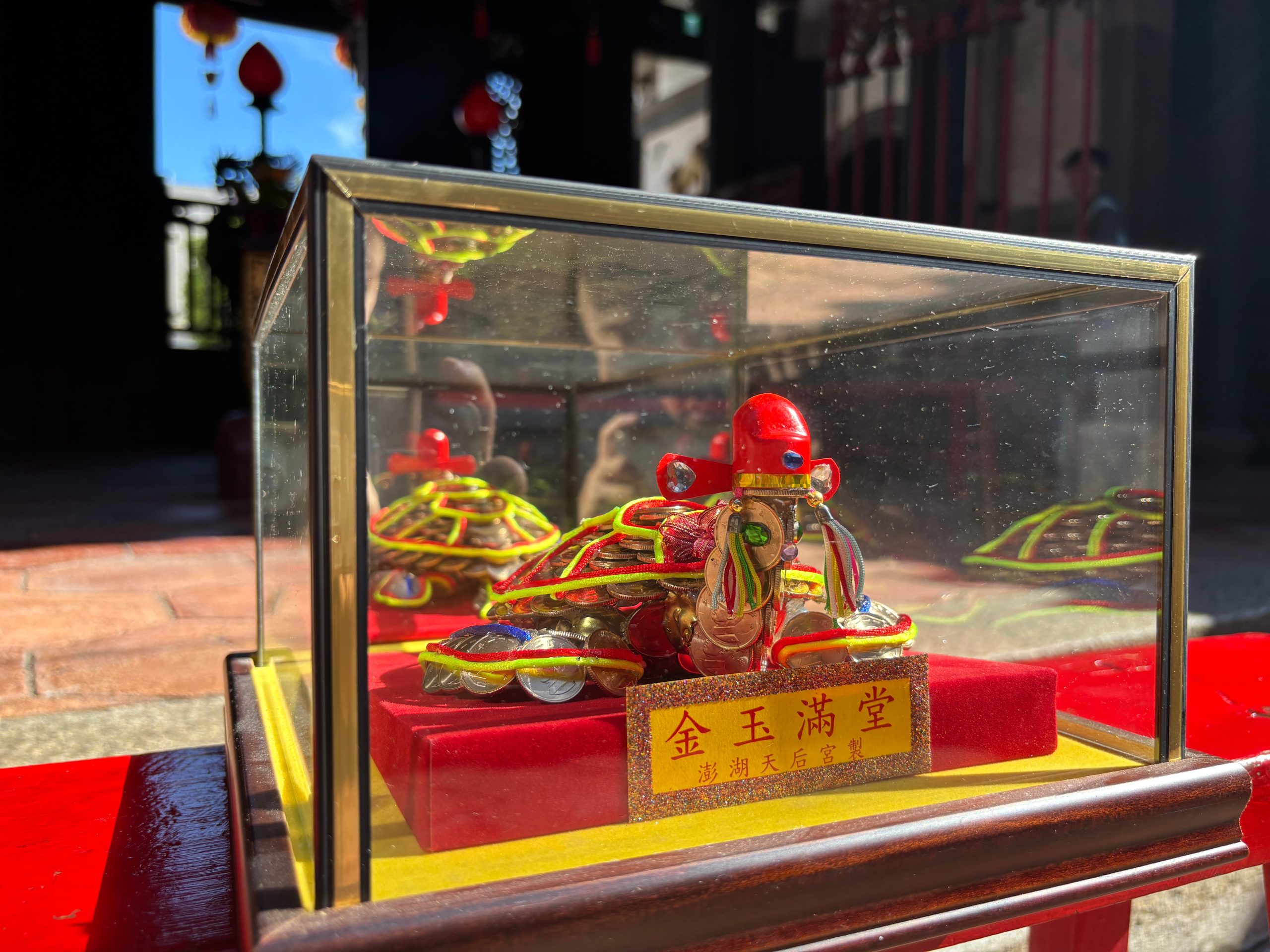 狀元龜 圖1
