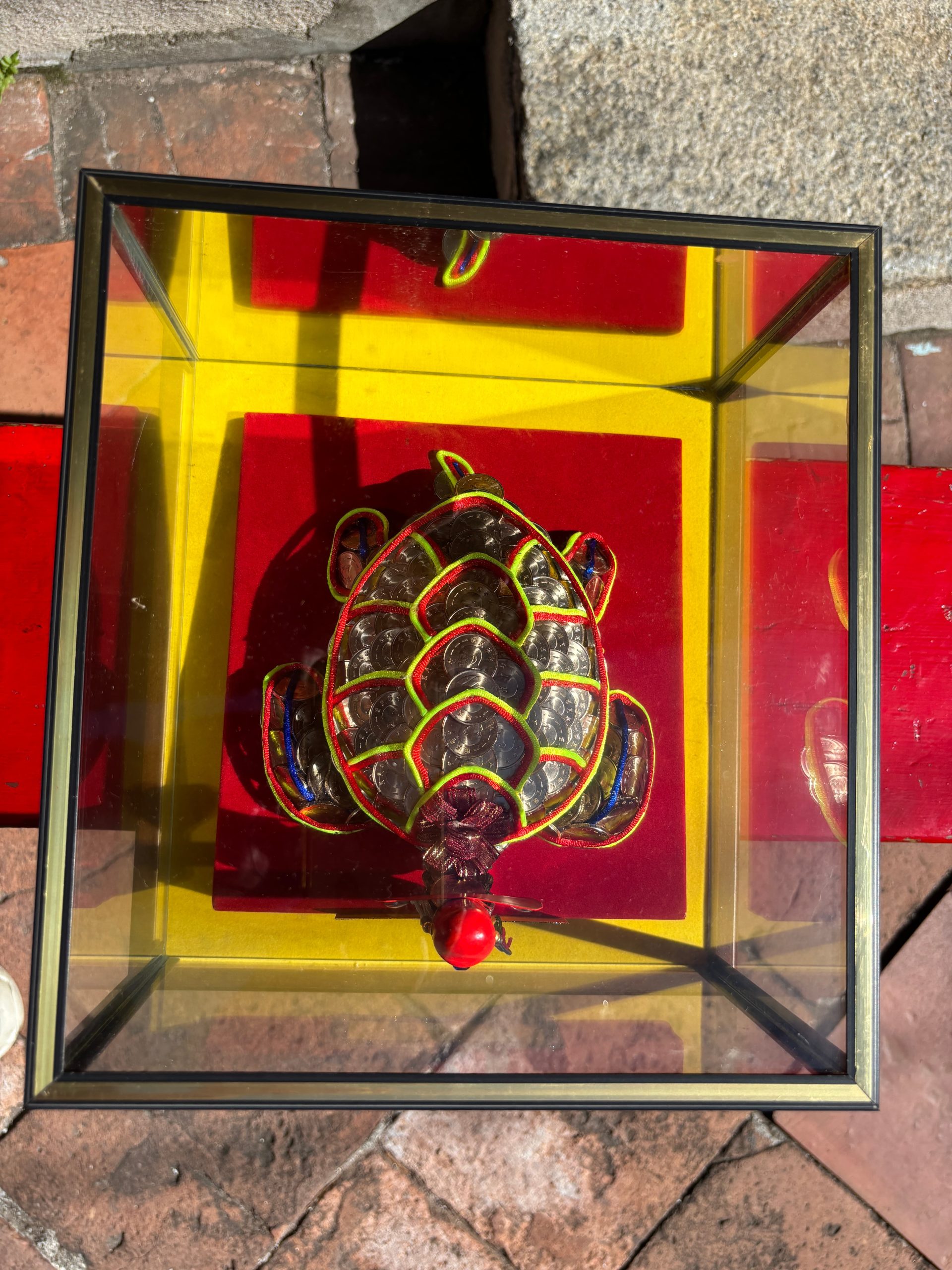狀元龜 圖2